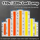 30W 50W 70W Cob Led Chip 110V 220V Smart Ic Lamp Board Beads No Need Driver Bulb