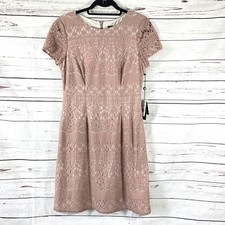 Adrianna Papell Dress Women’s 10 Pink Almond A-Line Scalloped Striped Lace NWT