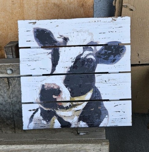 Rustic Farmhouse Cow Painting On Shiplap 14 X 14