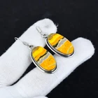 Natural Bumble Bee Gemstone Earrings 925 Sterling Silver Statement Jewelry Gift
