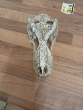 Reptile Terrarium Realistic T-Rex Skull Ornam...