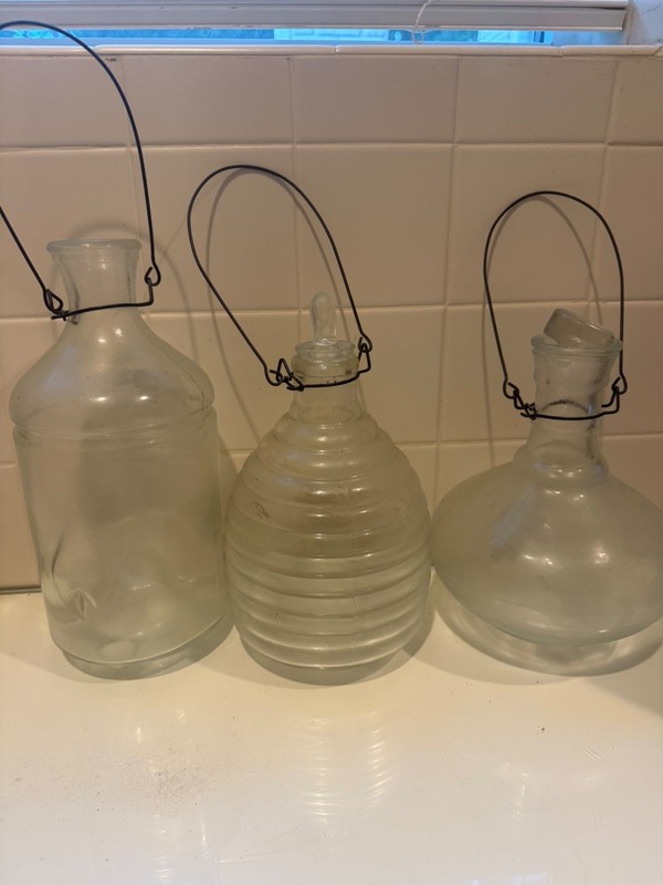 Set of 3 Decorative Glass Insect/Fly Catchers