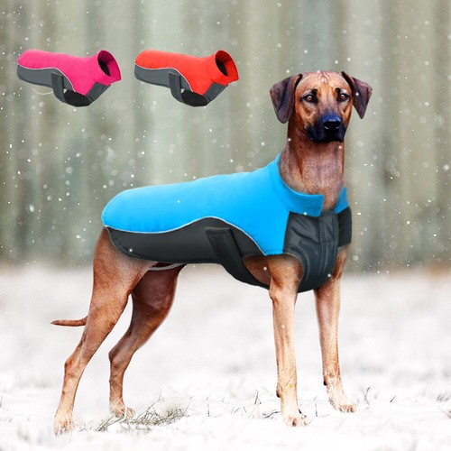 boxer winter jackets