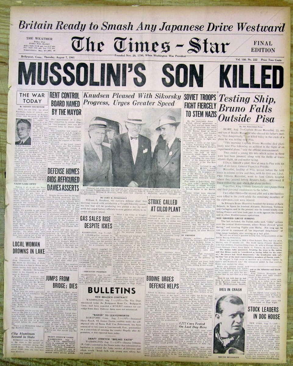 Why Does My Cat Fircely Groom Himself: Shocking Truths Revealed