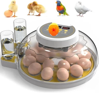 KSHOT Egg Incubator 18-60 Eggs Fully Automatic with Turning & Humidity Control Chick