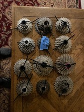 Twelve (11 Speed - Various Sizes) Cassettes for Shimano and Sram