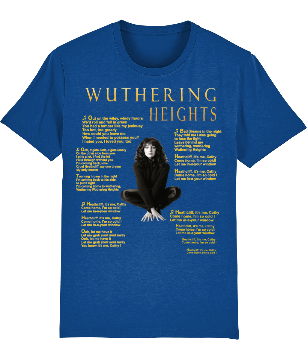 Kate Bush vintage retro T shirt Wuthering Heights lyrics theme Vinyl 70s  Stella | eBay UK