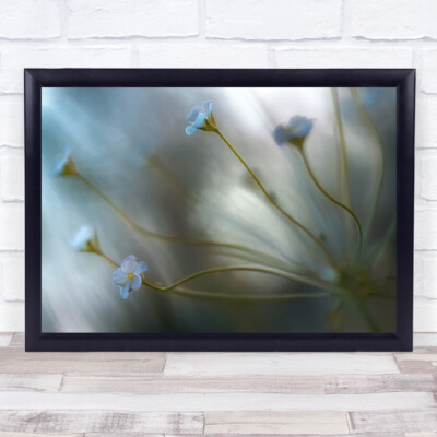 Wandbilddruck Jasminblume L Bokeh Weichzeichner verschwommen Frühling