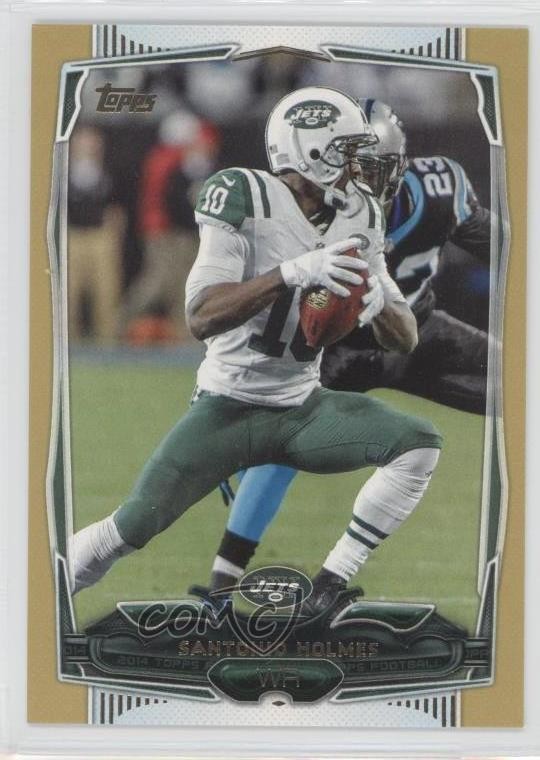 2014 Topps Gold 1141/2014 Santonio Holmes #28 0l2