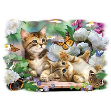Kittens Butterfly Sweatshirt Sizes/Color
