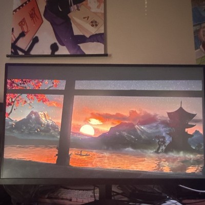 Widescreen 16:9 Computer Monitor Black Frame Display Scenic Image Sleek Design