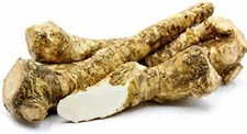 Horseradish Root whole, Ready for Eating, Planting. Can't Ship internationally. 