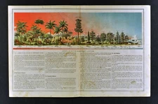 1873 Guyot Physical Map Nature Animals Trees Latitudes Jungle to Arctic Antique