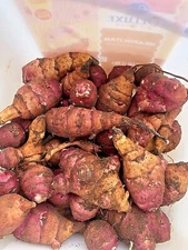 Beaver Valley Purple Organic Sunchoke Jerusalem Artichoke - Helianthus tuberosus