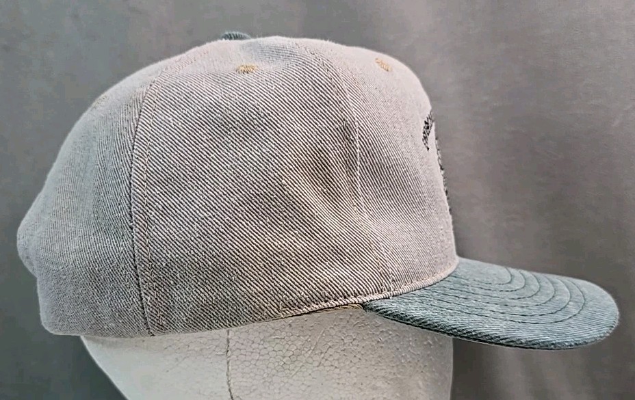 Environmental Warrior Hat Vtg Fairchild Air Force Base A.F.B. snapback USA cap