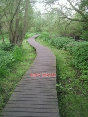 PHOTO  BOARDWALK CARRYING THE LONDON LOOP THROUGH DONKEY WOODS THE LONDON LOOP F