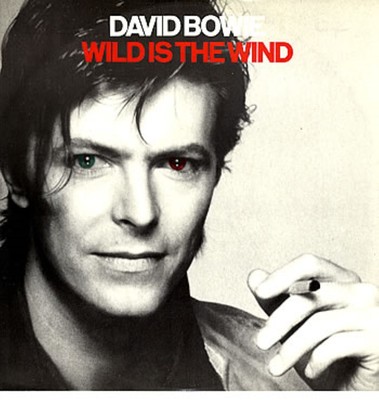 R*y様 DAVID BOWIE　日本限定12インチ&ピクチャーレコード&NO R*y様 DAVID BOWIE 日本限定12インチ&ピクチャーレコード&NO （R
