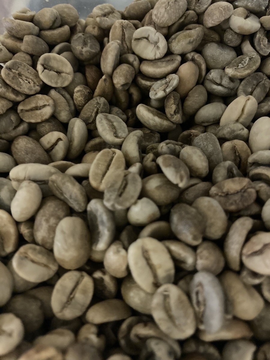 5 LBS VENEZUELAN VENEZUELA MARACAIBOS UNROASTED GREEN COFFEE BEANS