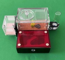 Ant Nest Ant House ant Farm for Adults Study of Ant Behavior Ant Terrarium AU
