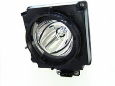 AL™ Series Lamp & Housing for the Skyworth DL53HD Video Wall - 90 Day Warranty