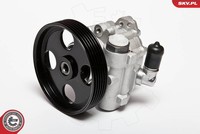 Esen SKV 10SKV004 Hydraulikpumpe, Lenkung FüR CitroËN,Dacia,Fiat,Lada,Peugeot,Re