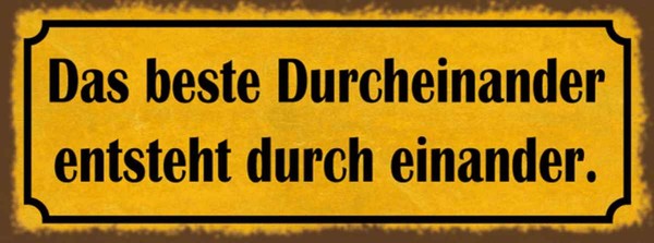 Holzschild 10X27 Cm Das Beste Durcheinander Entsteht Spruch Zitat Deko Geschenk-image