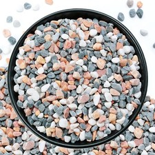 10 lb Mixed Color Pebbles for Plants, Vases, Succulents, and Landscaping