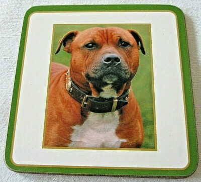 Ein Hund Getränk Untersetzer Matte Geschenk ~ unsicher von der Rasse