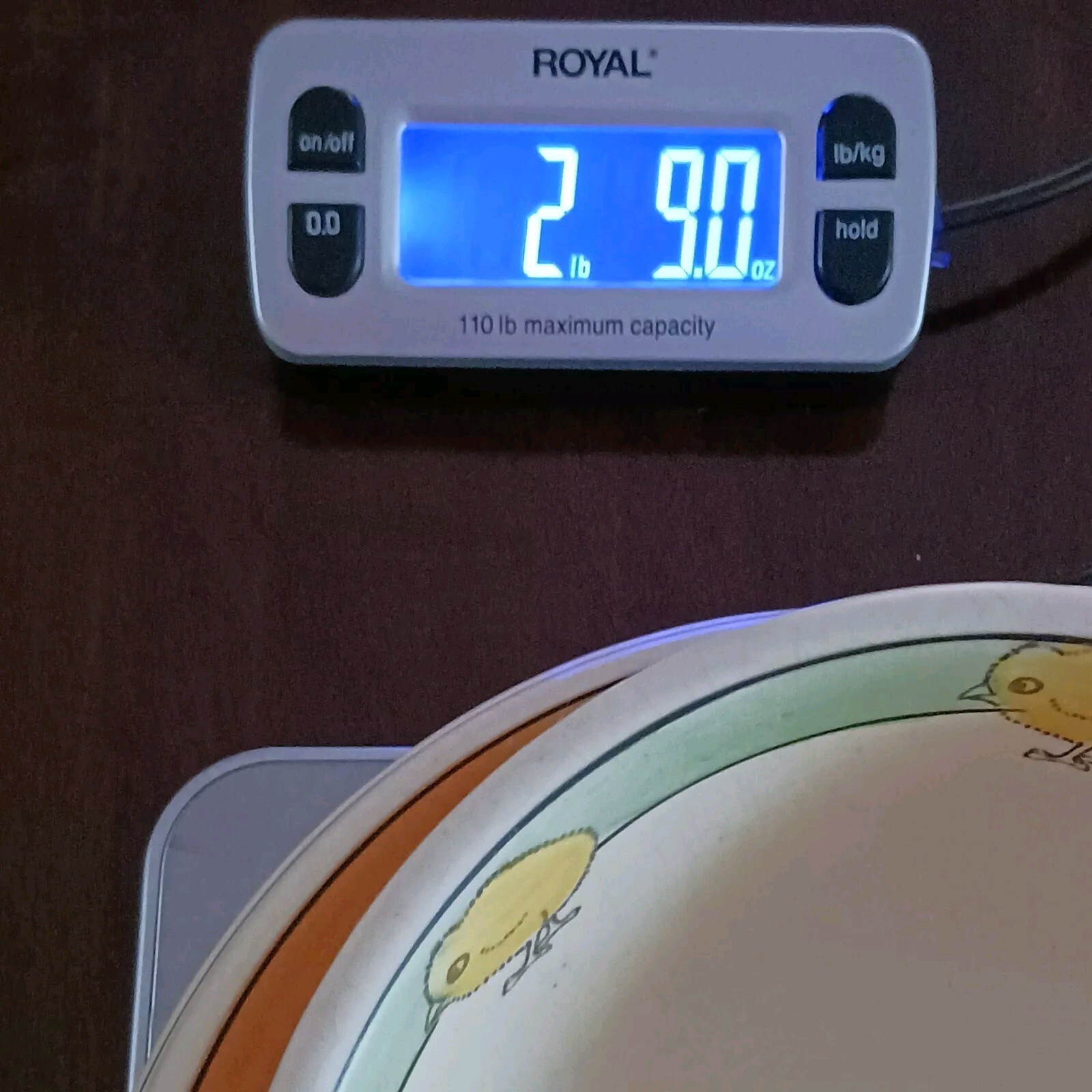 Picture 17 of 17