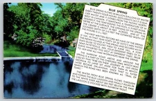 Eureka Springs Arkansas~Blue Spring In Ozark Hills~Inset Facts~Vintage Postcard