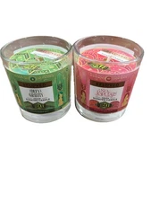 Beloved Wicked Defy Gravity - SO Popular Vegan Candle Set of 2 Discontinued
