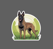 Belgian Malinois Sticker Dog Pet Friend Warrior Athlete Gift Waterproof NEW