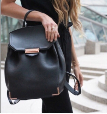 ALEXANDER WANG Backpack Prisma Skeletal Pebbled Leather Rose Gold dust bag Great | eBay ALEXANDER WANG Backpack Prisma Skeletal Pebbled Leather Rose Gold dust bag Great | eBay