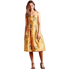 Anthropologie James Coviello Midi Fit & Flare Floral Lined Tea Length Dress Sz 4