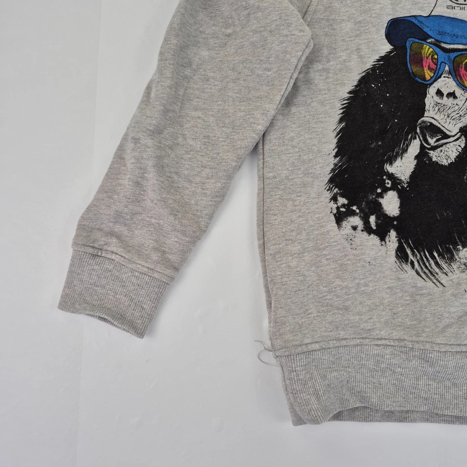 Sudadera ANIMAL 9-10 Años Gris Niños Pullover Jumper Estampado Gráfico - Imagen 3 de 4