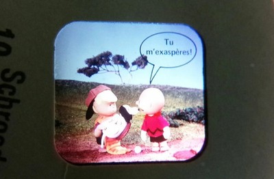 Snoopy (Peanuts) - 3 View-Master 3D Discs ohne Tasche Ref. B 536 -F