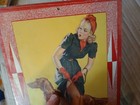Bild 11 von 12