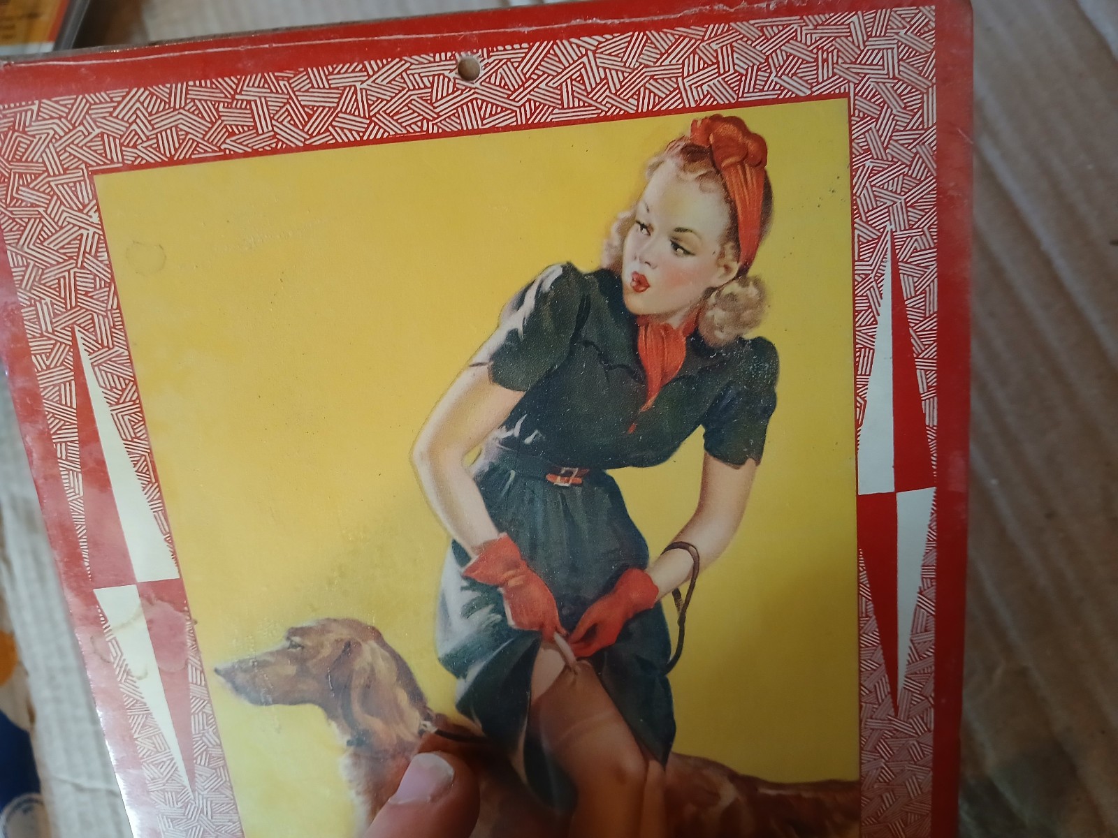 Bild 11 von 12