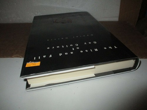 The Rise And fall Of Gay Culture by Daniel Harris (1997, Hardcover) - Picture 5 of 7