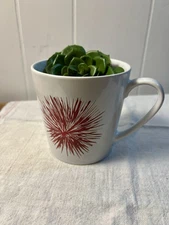 Starbucks Christmas Coffee Mug Cup 2014 Red Fireworks Starburst Holiday 🔥