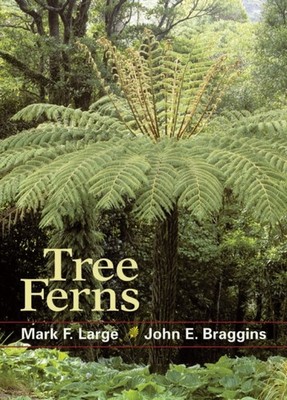 TREE FERNS by LARGE, MARK F. Paperback Self Help Business