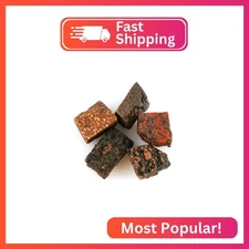 CRYSTALINES 5pcs Wholesale Natural Raw Dinossaur Bone Fossil Stones, High Grade 