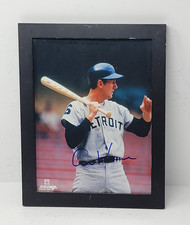 Detroit Tigers Collecting and Fan Guide 81
