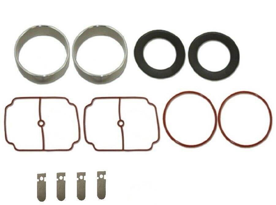 2689 Kit Ricostruzione per Pompa Thomas Compressore Aspirazione Aerazione Impiallacciatura 2669 Sk2689