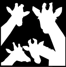 Giraffes Peeking Graphic Vinyl Decal Car Tumbler Laptop Tablet Notebook Window