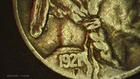 1921P Buffalo Nickel Two Feathers Variety FS401 Cherrypicker