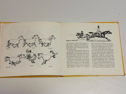 How to Draw Ponies: All the Secrets Revealed by Thelwell Hardcover Vintage 1982 - Picture 9 of 15