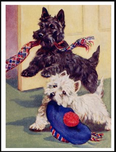 scottish terrier hat