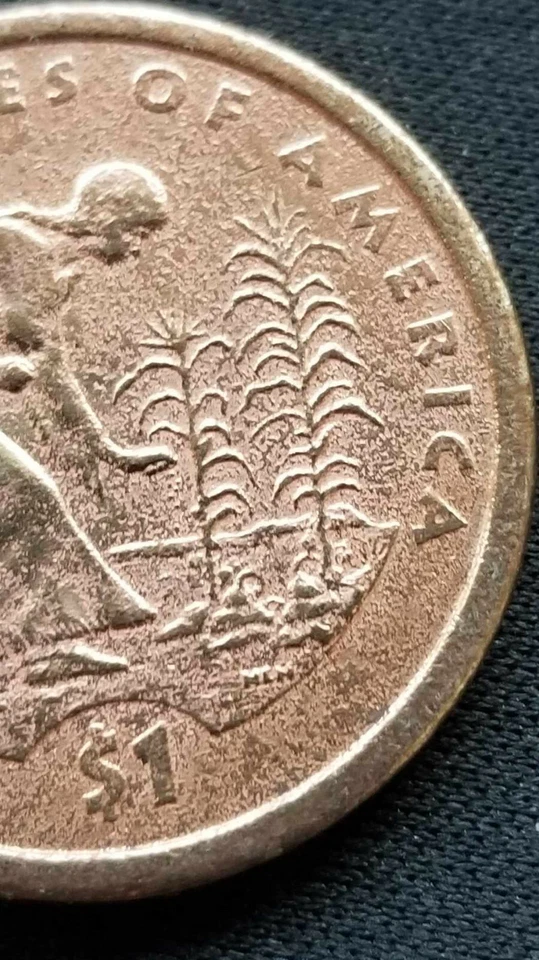 1 dollar gold coin 2009,obverse clad layer missing - Image 4 of 4