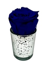 Preserved rose -ROYAL BLUE- In silver mercury glass long-lasting eternal Luxury